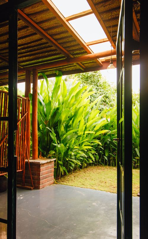Free Open door reveals lush tropical garden with sunlight streaming through. Ideal for nature and home themes. Stock Photo