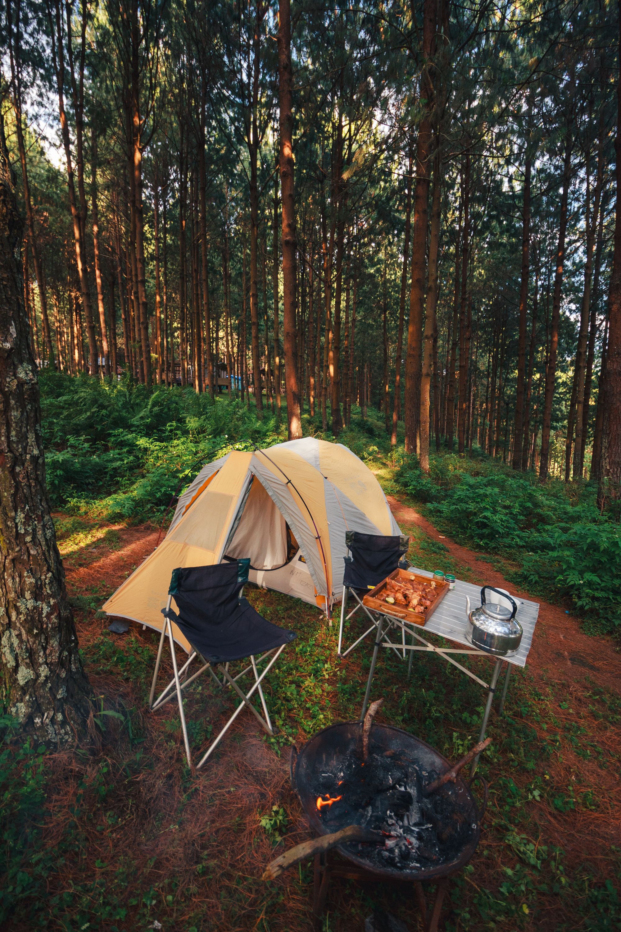 Complete forest campsite with tent, table, cooking equipment, and campfire
