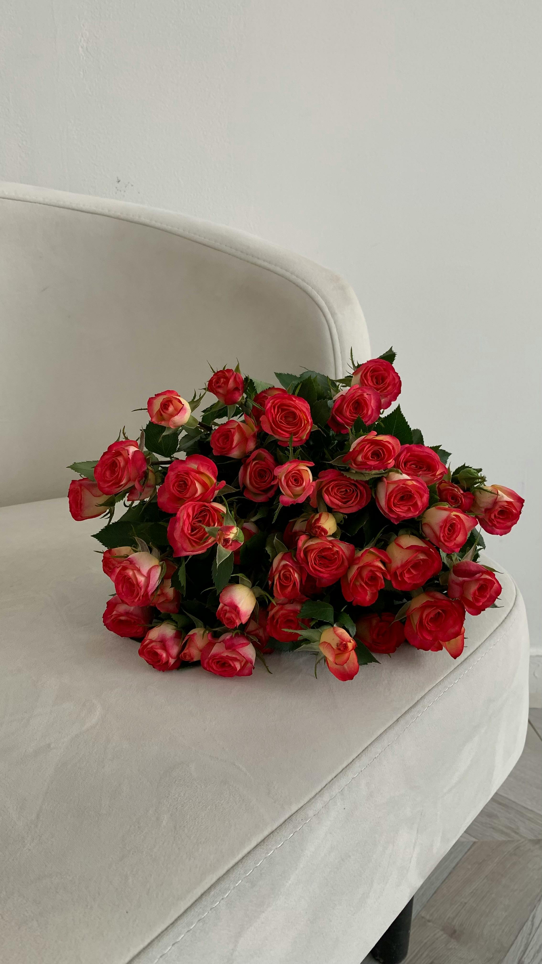 Elegant bouquet of red roses on a white sofa, symbolizing love and romance.