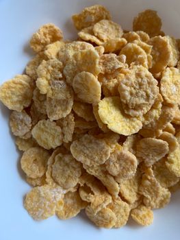 Corn Flakes Corn Flakes Organic Milled Corn & Sea Salt — kidney-friendly food