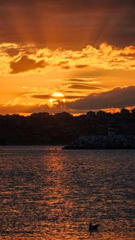 A vibrant sunset casts dramatic colors over a city skyline by the sea, with a lighthouse in view.