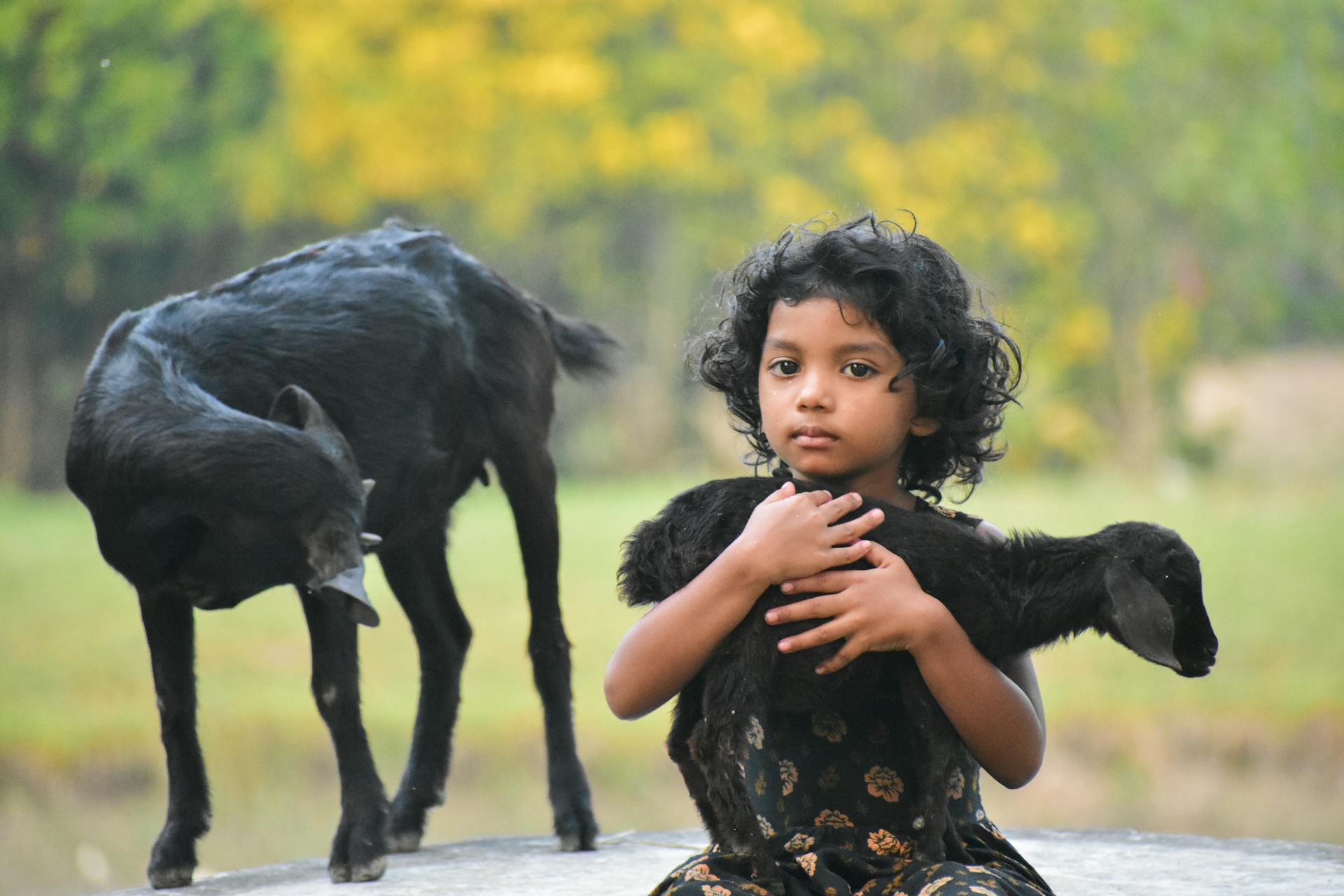 A child lovingly embraces a goat, showcasing companionship in a lush Bangladesh setting.