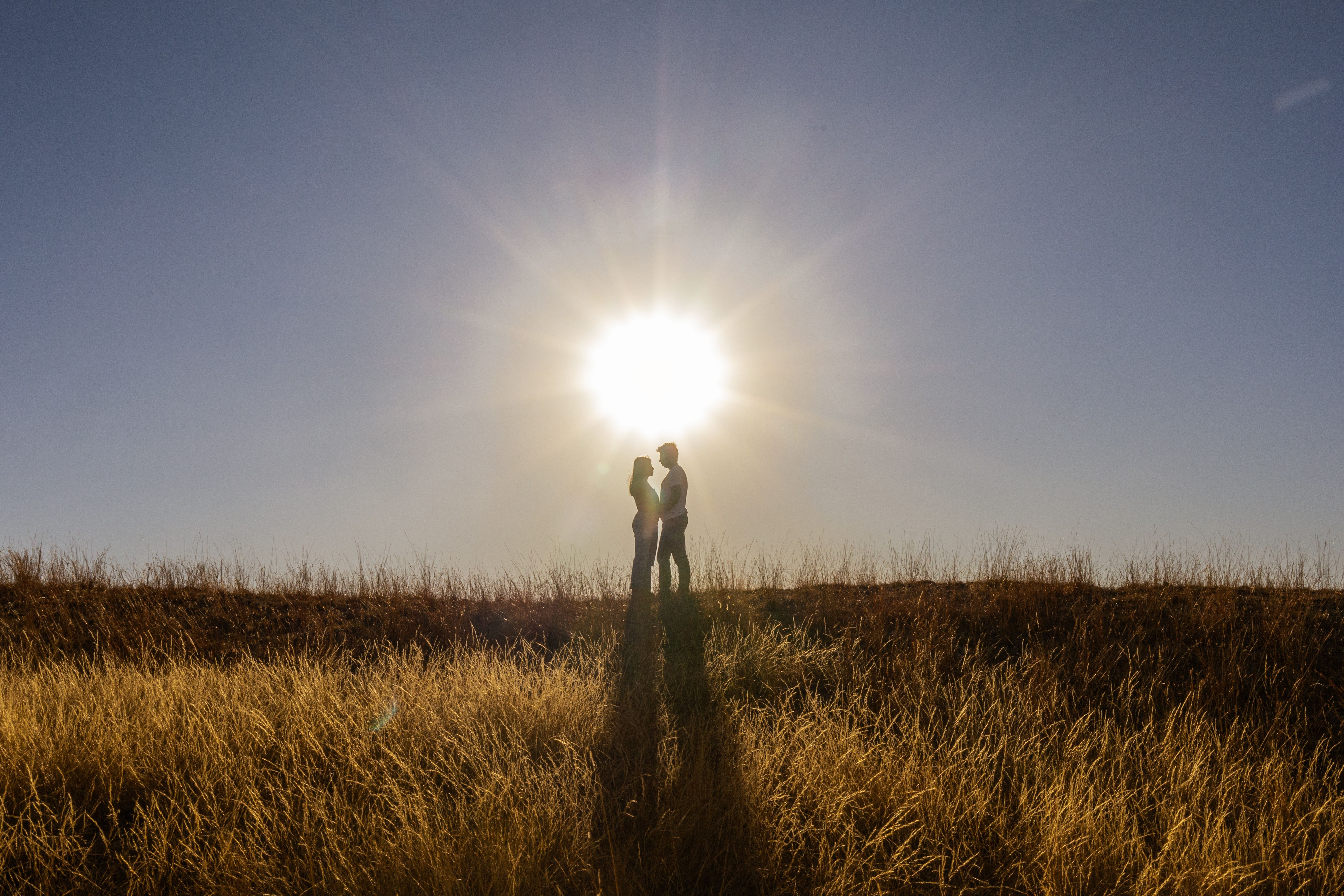 Photos gratuites de affection, amérique du nord, amour