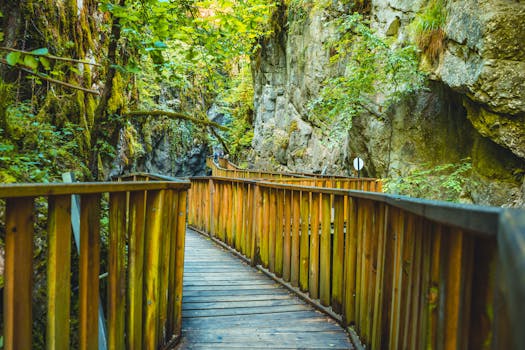 Wooden walkway through lush forest gorge in Kastamonu, Türkiye. Perfect for nature lovers.