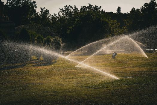 Should I Consider Smart Water Solutions During Home Renovations?