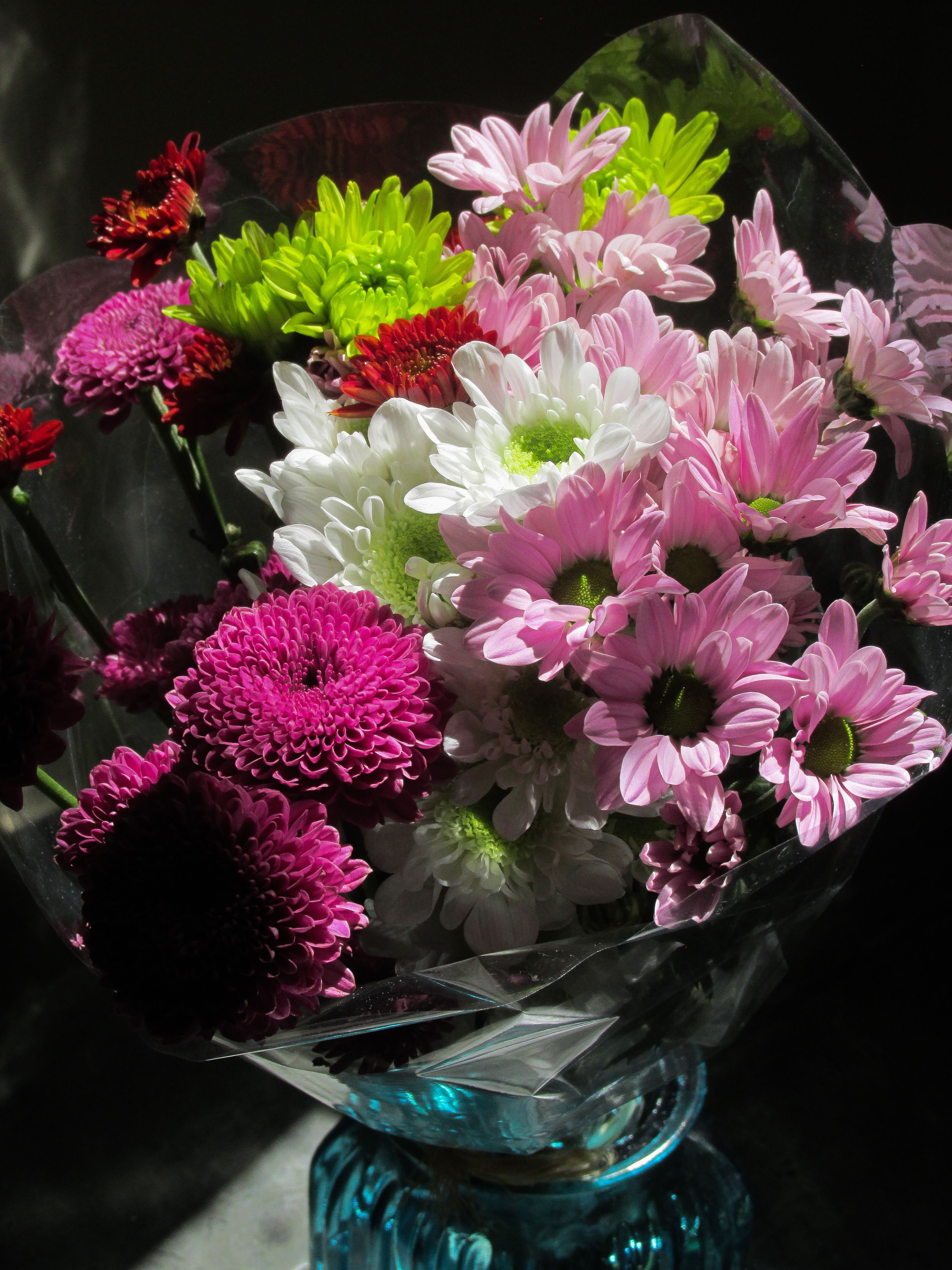[ColoSach]-a-vivid-bouquet-of-chrysanthemums-in-various-colors,-beautifully-arranged-in-a-blue-glass-vase.