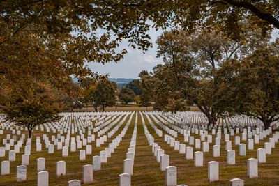 Arlington