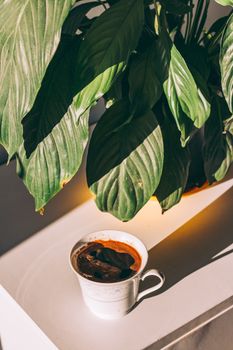 A white coffee cup on a sunlit table beside a lush peace lily plant.