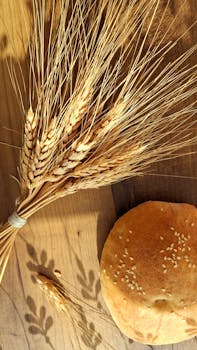 Bread, whole-wheat, commercially prepared