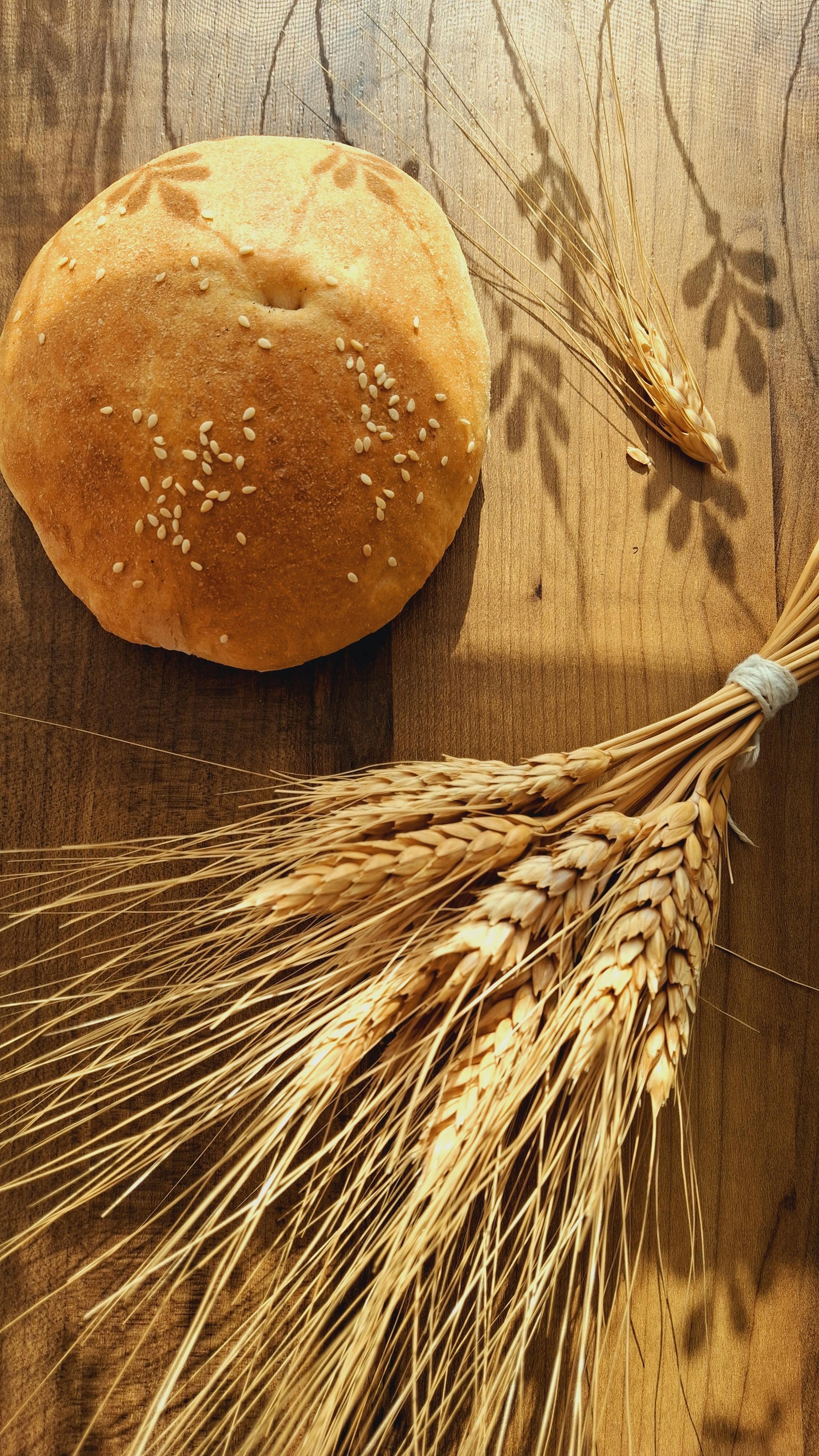 fresh bread loaf with wheat on rustic table