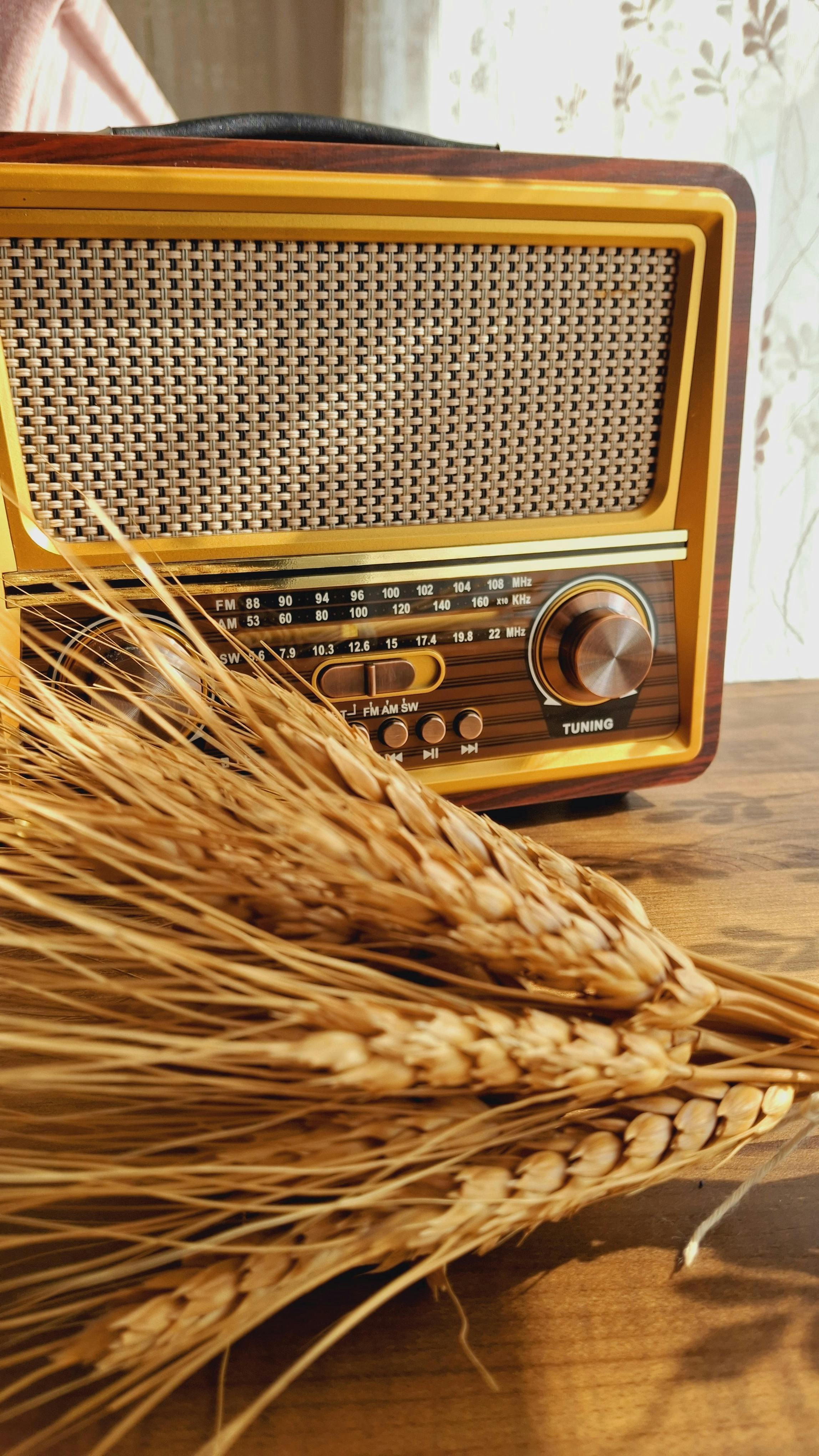 A retro radio with wheat on a wooden table, creating a nostalgic vibe.