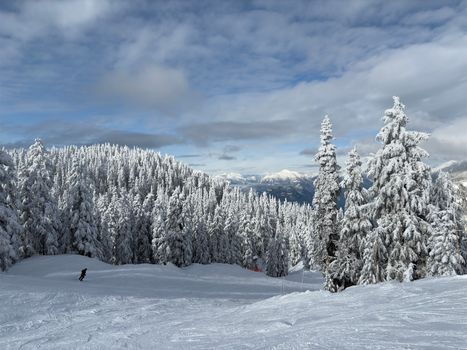 A skier descends a snowy slope surrounded by beautiful snow-covered trees.