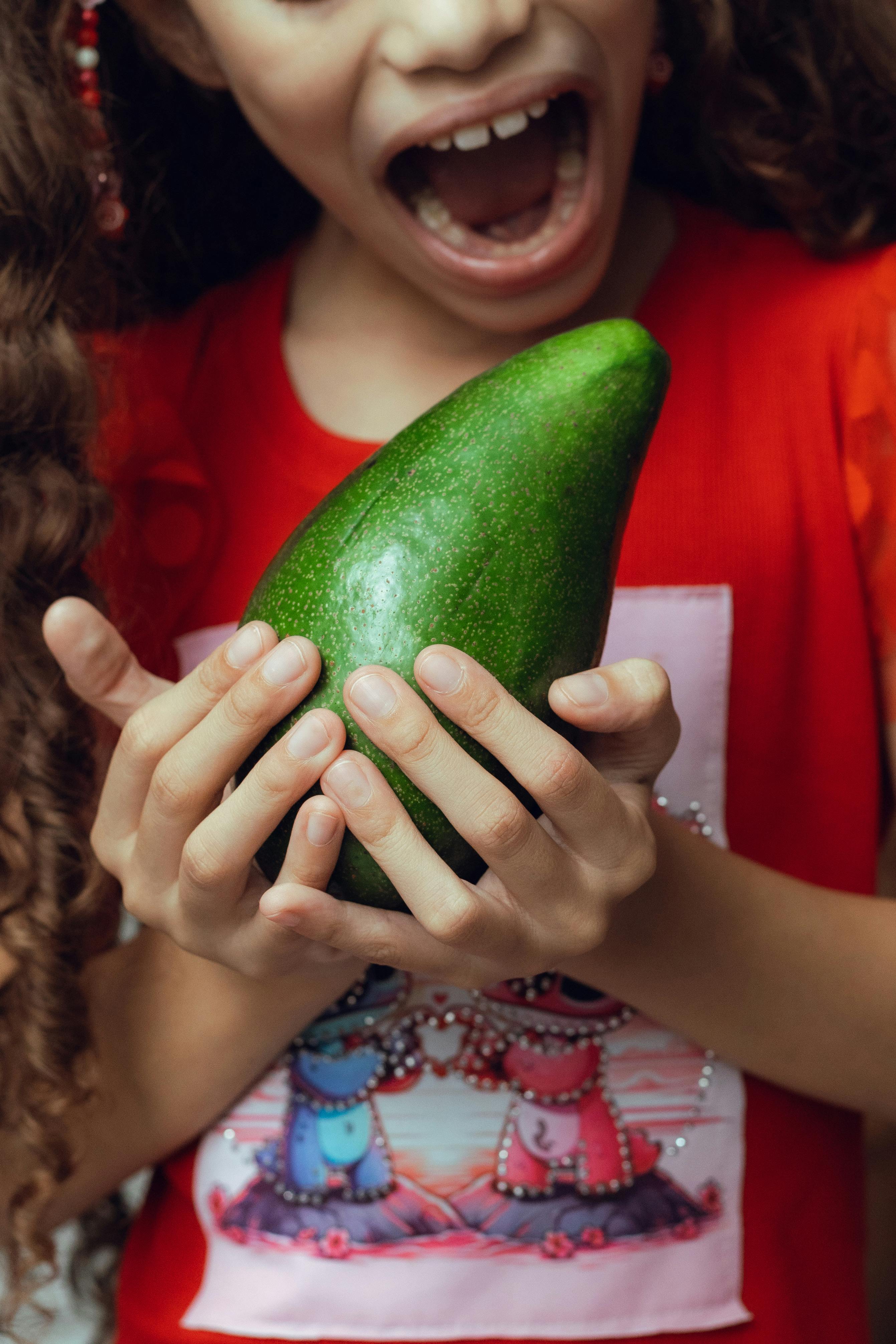 비타민과 미네랄의 역할 비타민과 미네랄의 역할