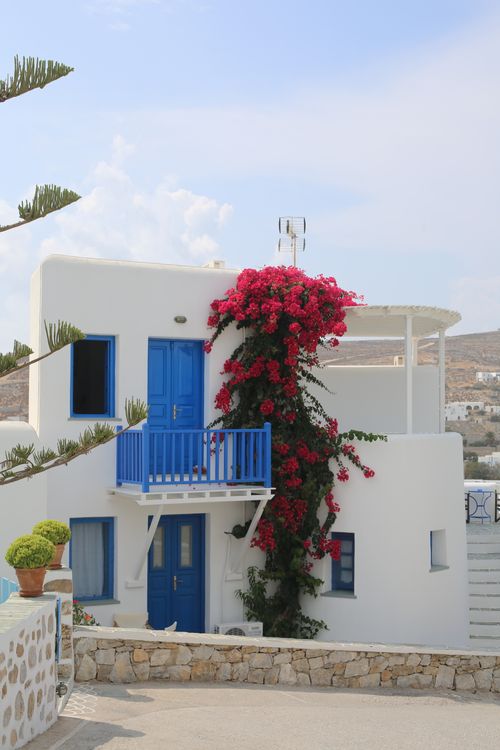 Free Elegant white house with vibrant bougainvillea in Mykonos, Greece, featuring traditional blue accents. Stock Photo