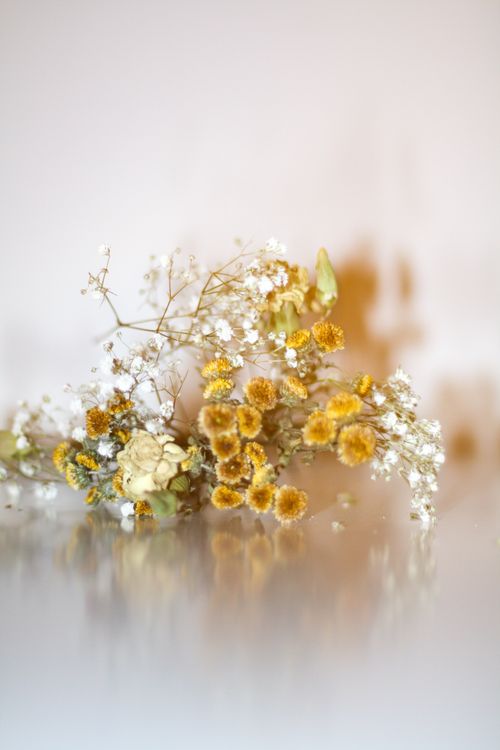 Free Aesthetic floral composition featuring yellow and white dried flowers. Stock Photo