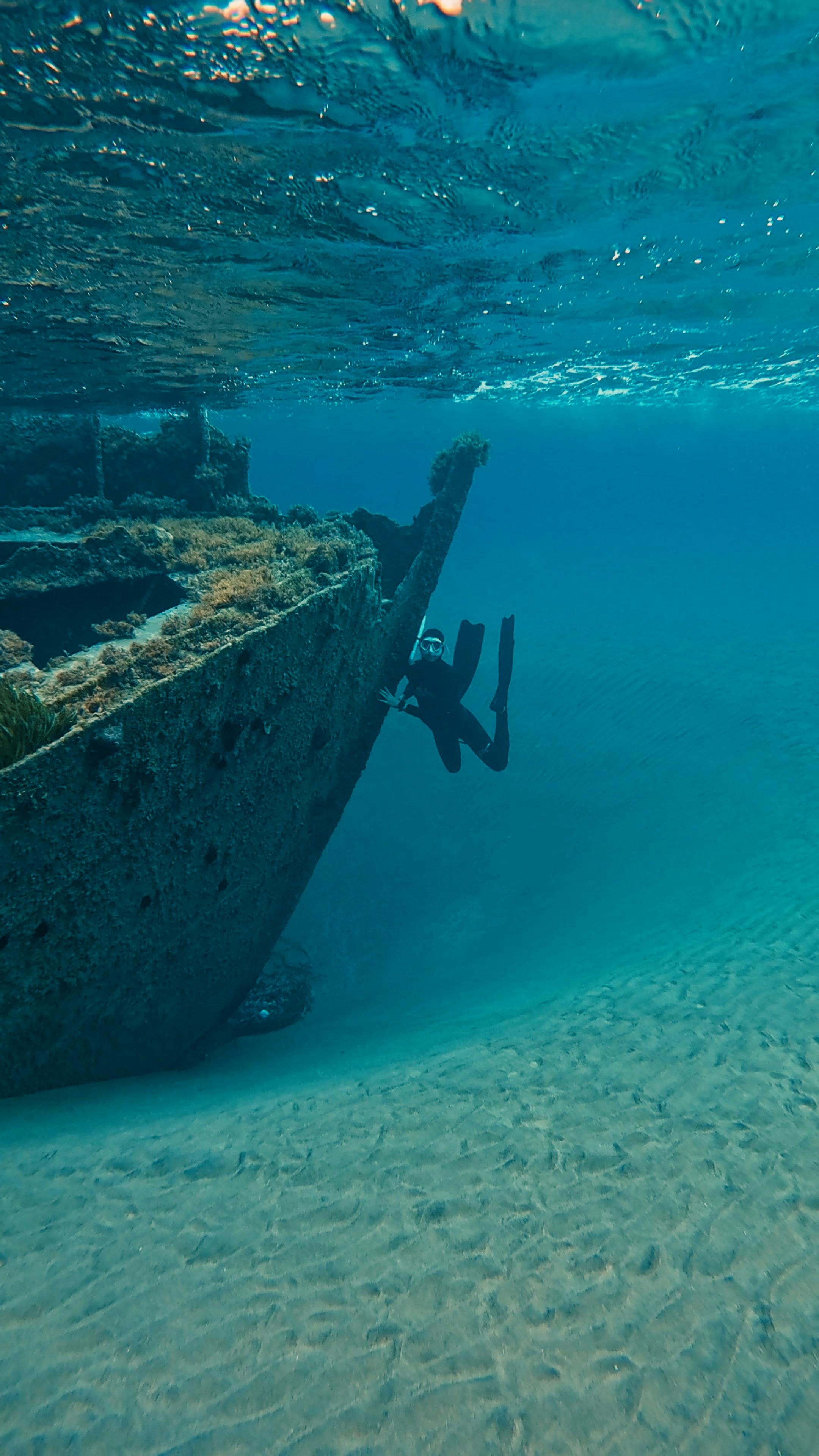 Snorkeller exploring colourful coral growing on the USAT Liberty shipwreck off the coast of Amed in Bali