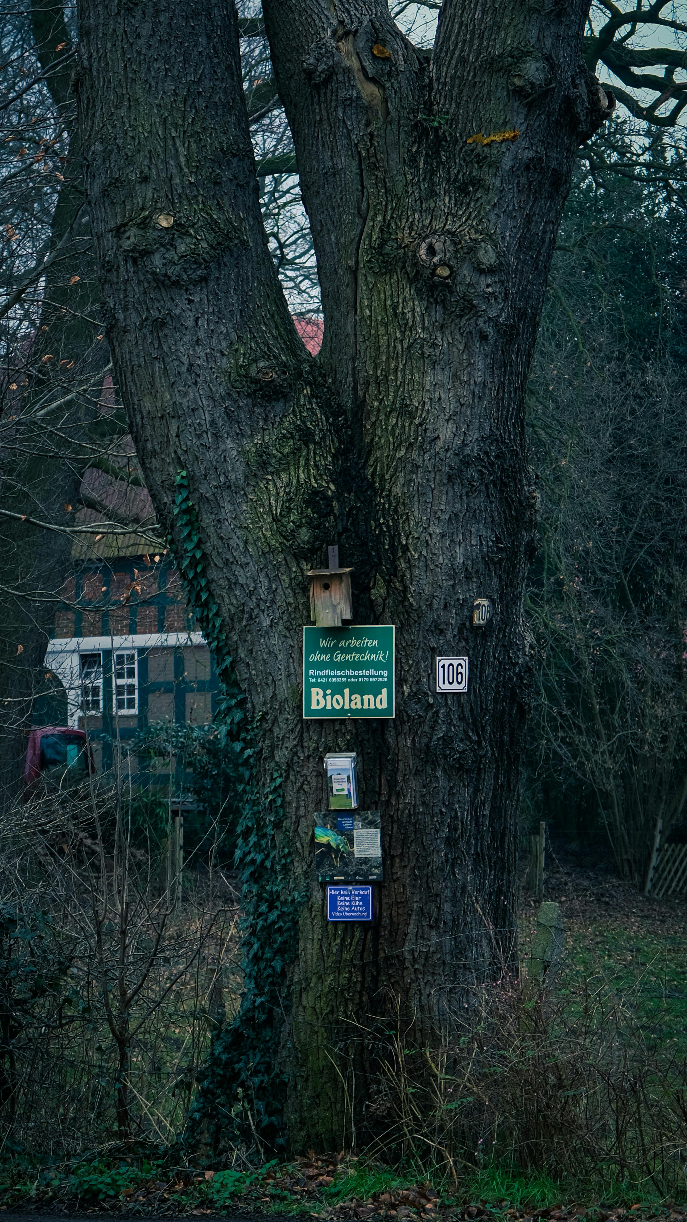 Cum să obții certificarea pentru produse agricole bio