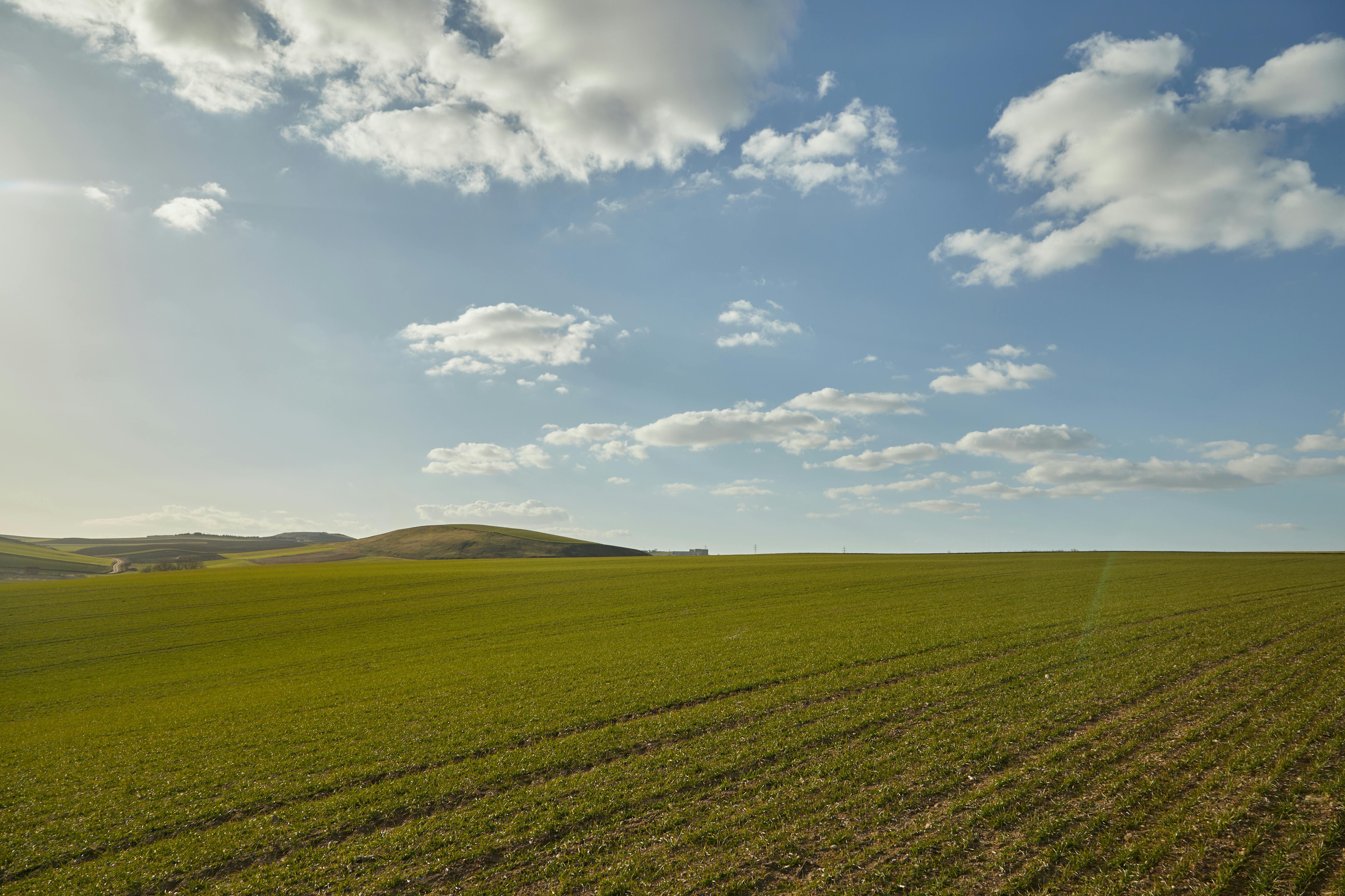 集集半程國際馬拉松開放報名 明年4月花旗木盛大迎接3000跑者