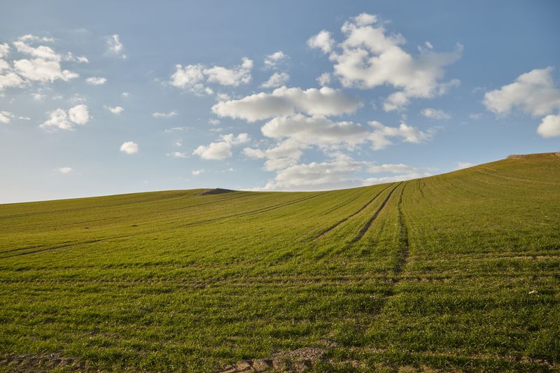 Vibrant Green Meadow Under Clear Blue Sky · Free Stock Photo