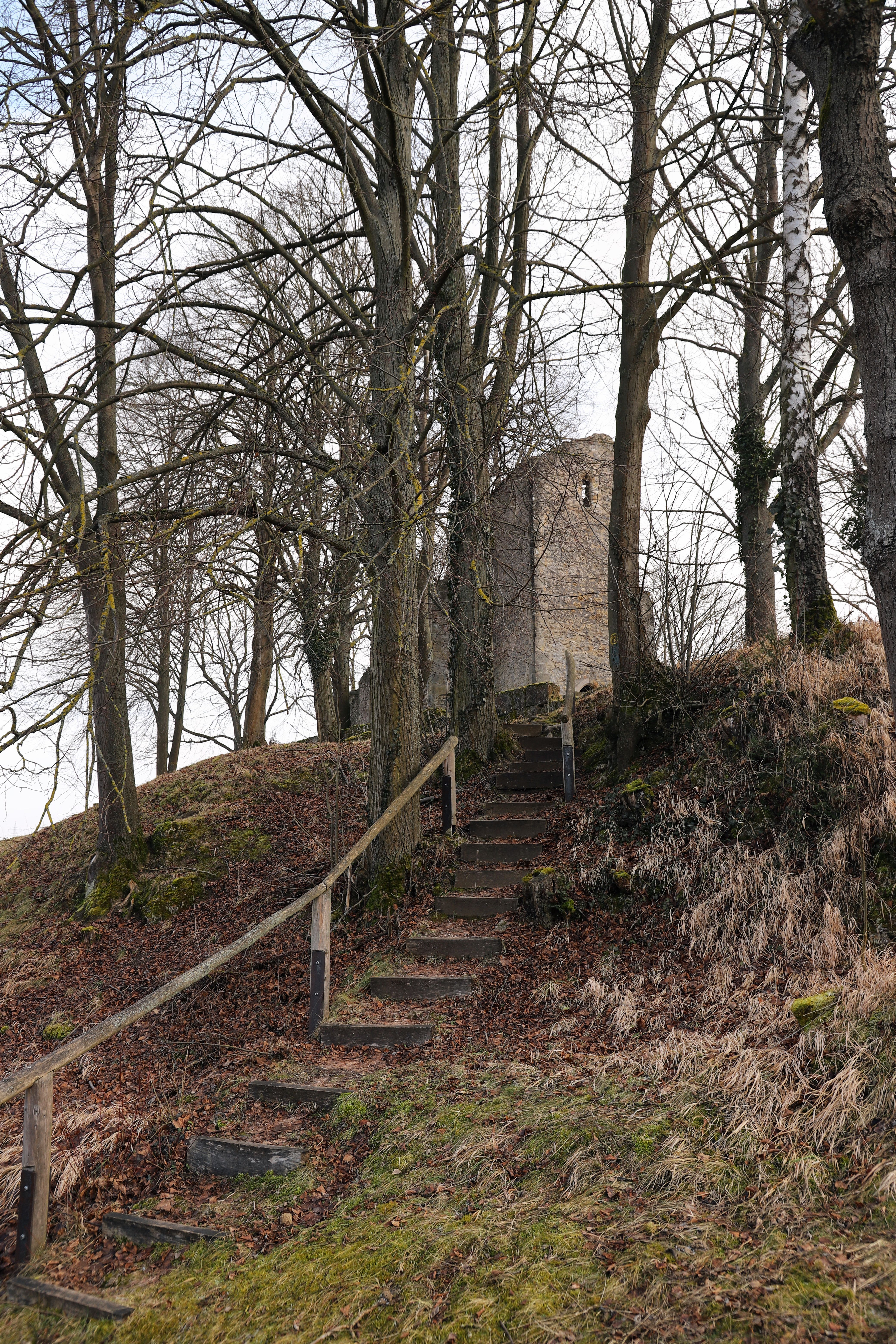 Stone ruins surrounded by leafless trees on an uphill path in winter.
