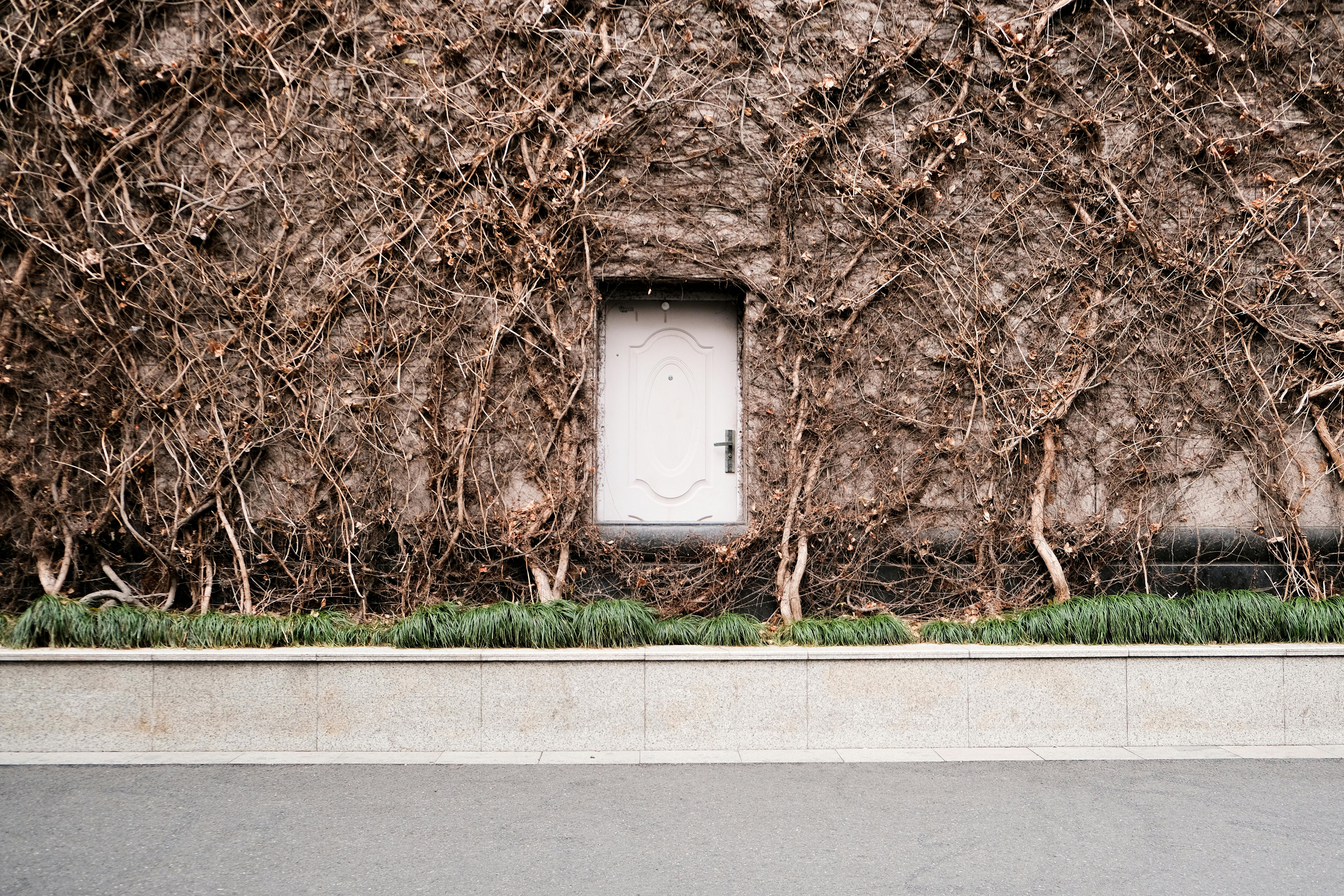 Discovering Secret Gardens: Your Hidden Escape