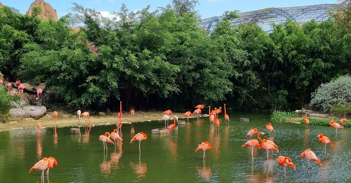Los 10 parques temáticos más grandes del mundo Los 10 parques temáticos más grandes del mundo