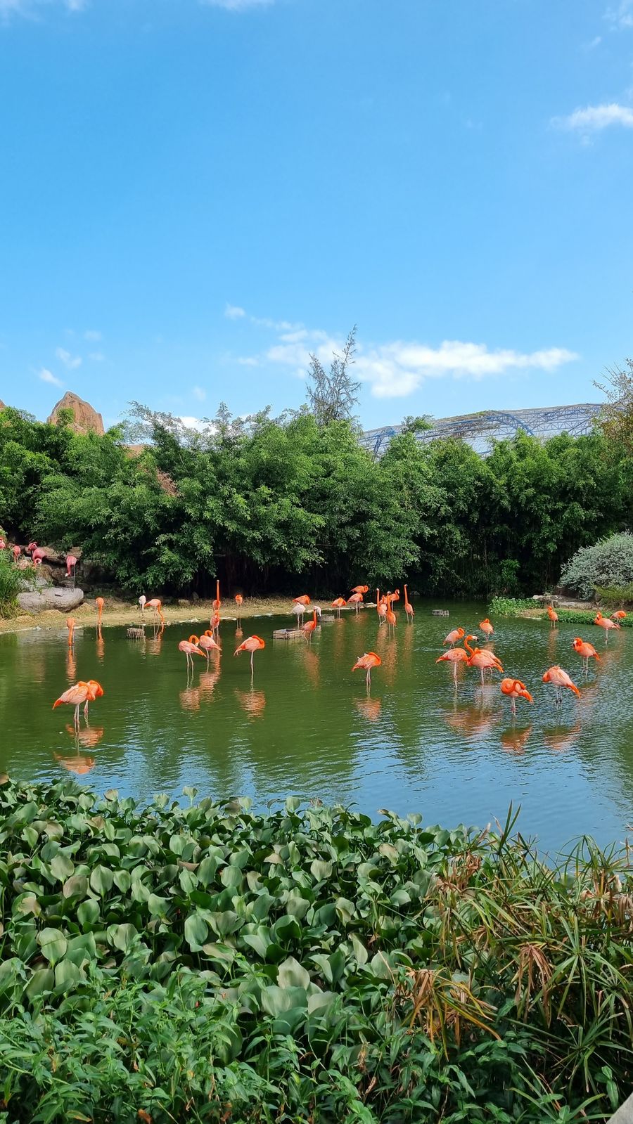 Lake Nakuru — Your Rift Valley escape awaits