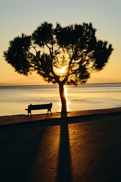 Free Silhouette of a tree and bench against a stunning sunset by the sea. Stock Photo