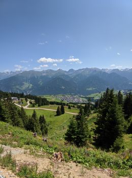 Breathtaking view of the Alps with lush green valleys and towering pine trees under a blue sky.