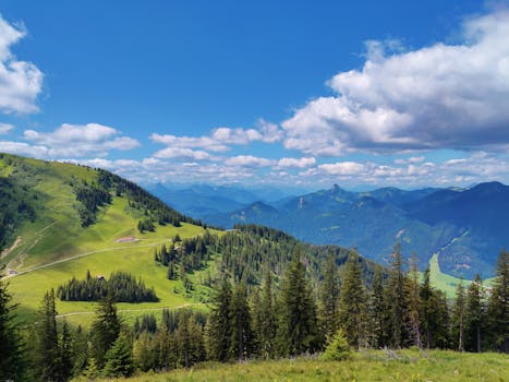 Beautiful alpine landscape with rolling green hills and lush pine trees under a blue sky.
