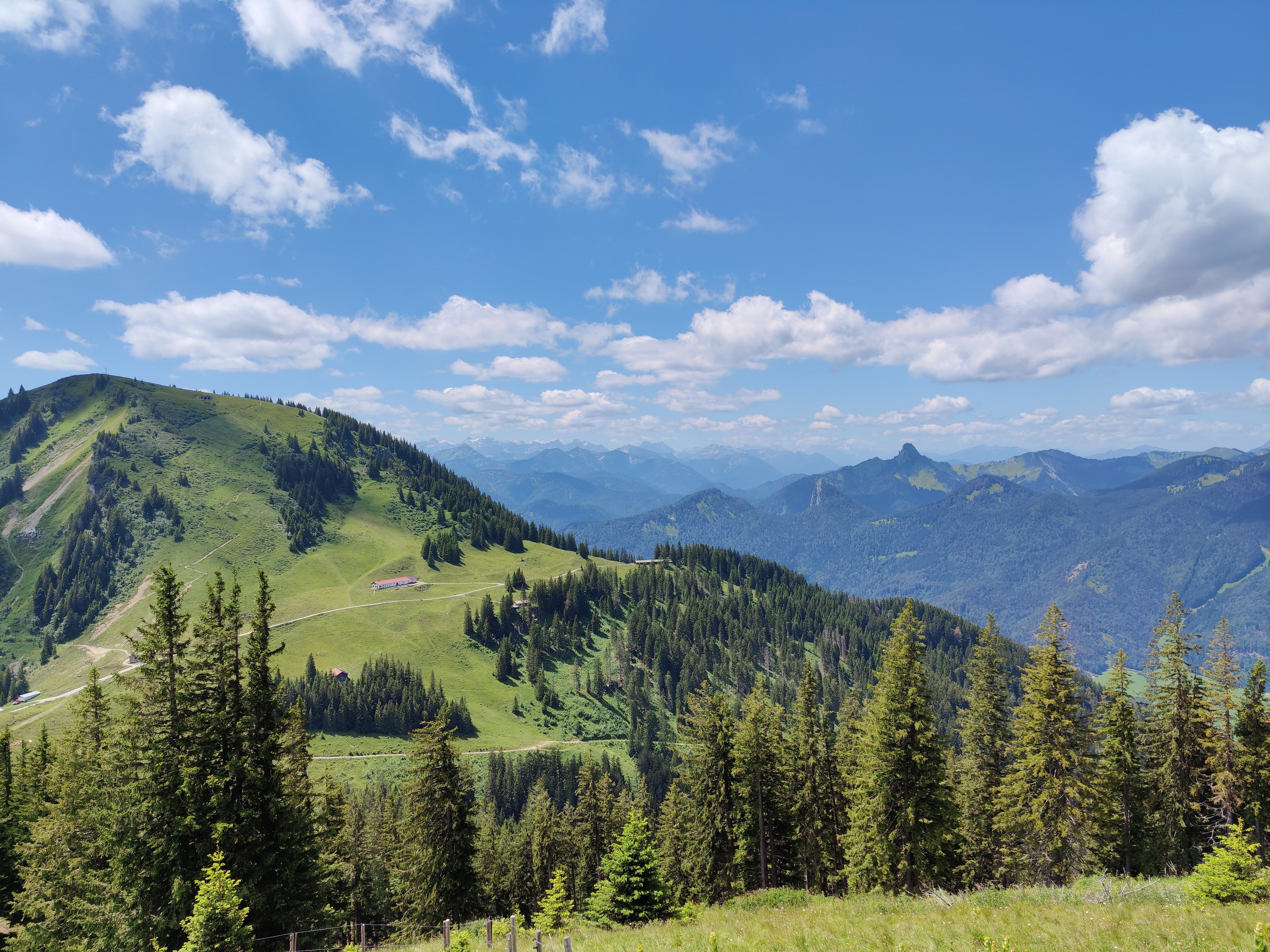 Scenic Mountain Landscape with Lush Forest · Free Stock Photo