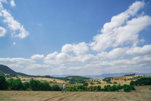 A lone person walks in a vast, serene countryside landscape under a clear blue sky with fluffy clouds.