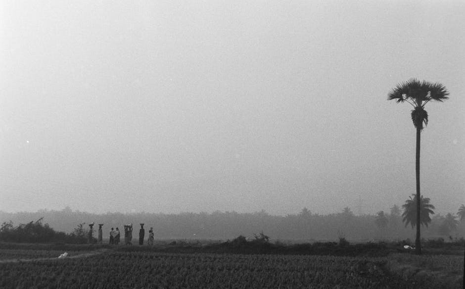 home maintenance while traveling