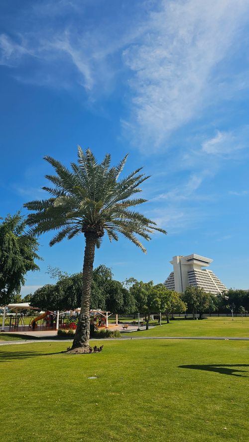 Free A lush park in Doha featuring a striking modern skyscraper and palm trees. Stock Photo