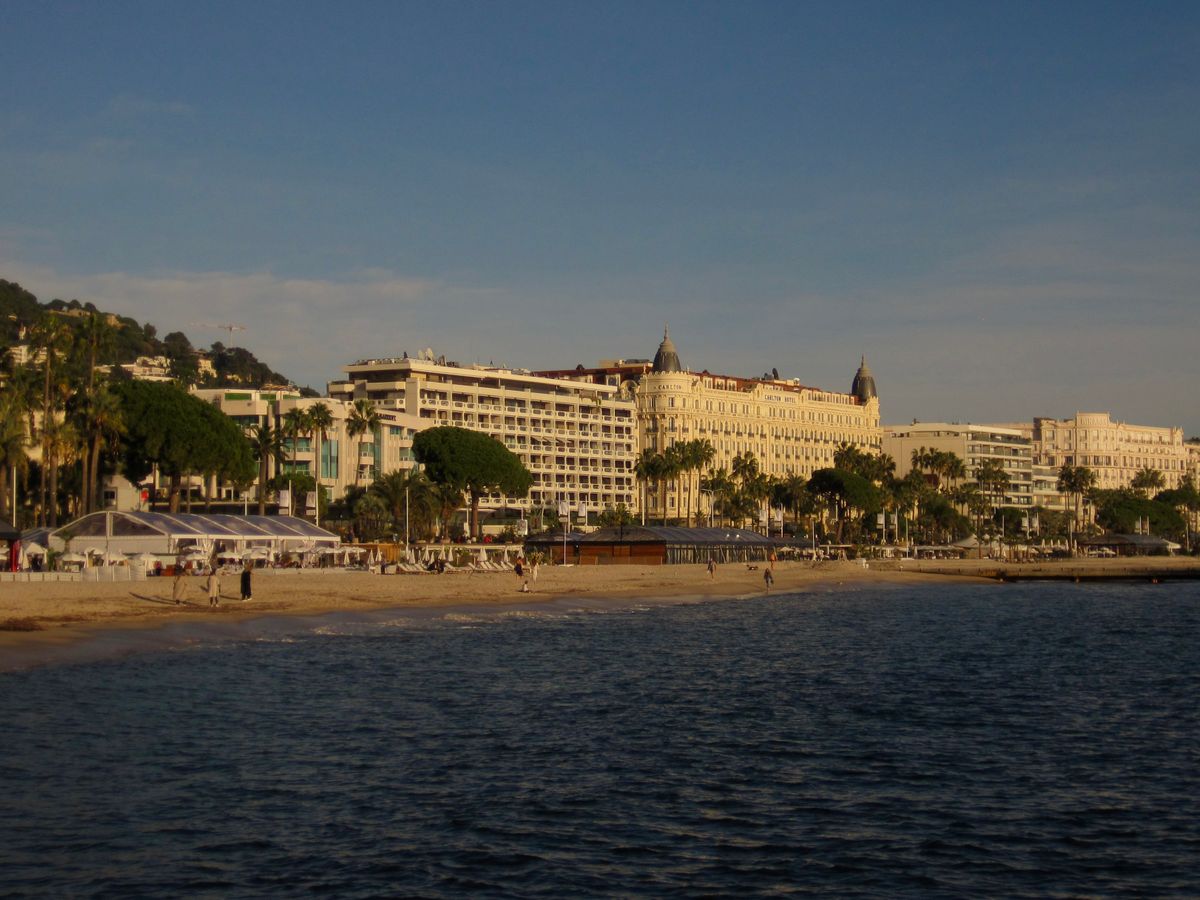 The Cannes Croisette at golden hour, palms and the grand hotels