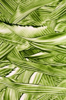 Close-up abstract texture of green leaves in Guaratuba, Brazil.