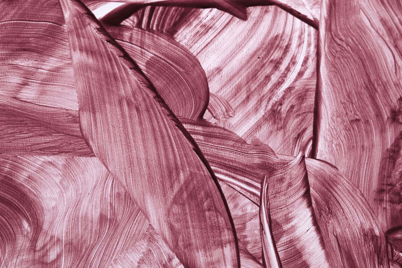 an artistic display of abstract pink brush strokes creating captivatin
