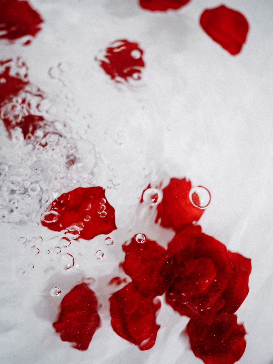 Floating Red Rose Petals in Water · Free Stock Photo