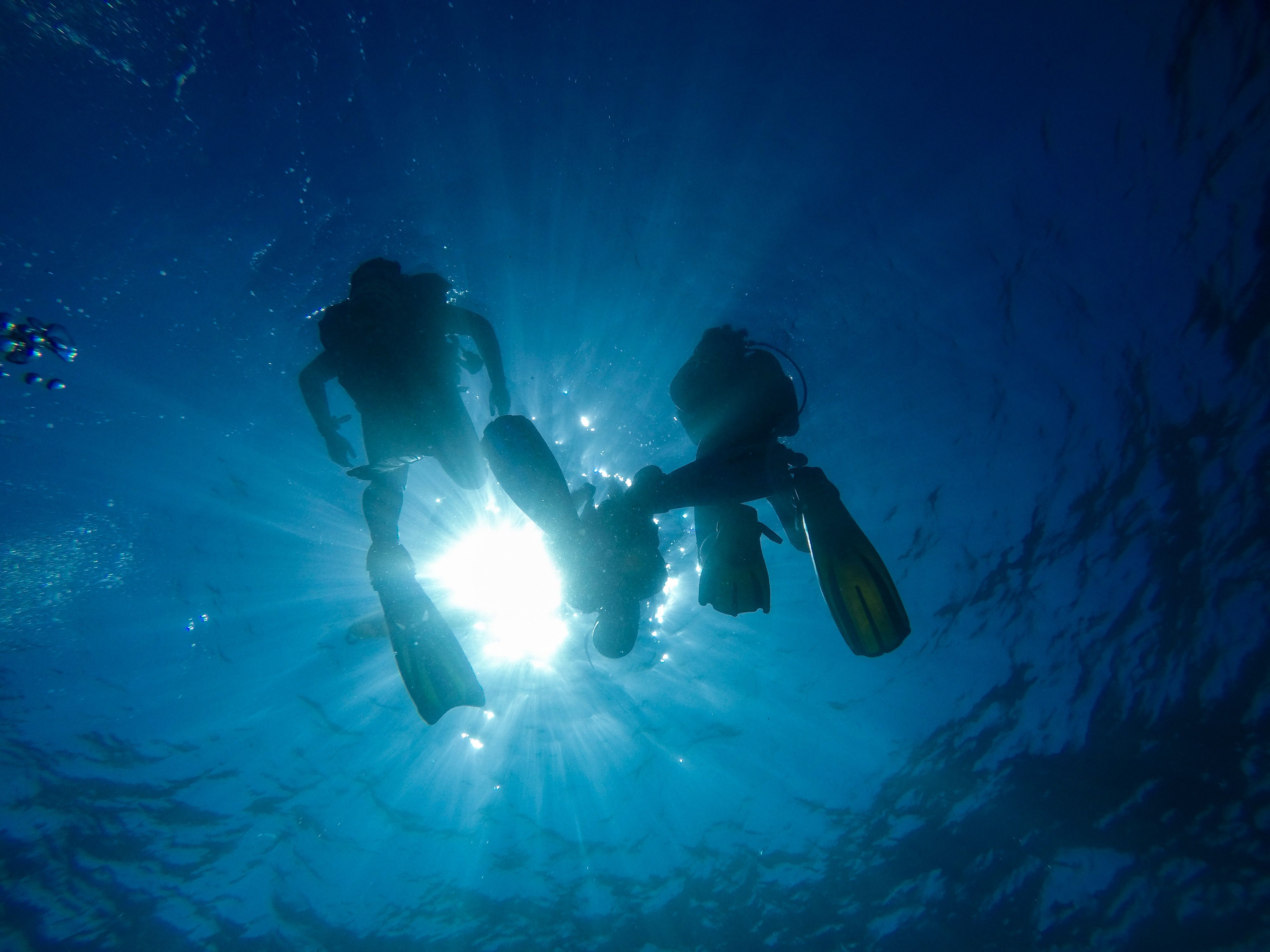 Gratuit Silhouette de plongeurs avec des rayons de soleil sous l'eau à Koh Tao, Thaïlande. Photos