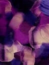 Vibrant Abstract Purple Art on Canvas