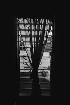 一张黑白图像戏剧性地捕捉了窗帘在窗上的轮廓，营造出神秘感