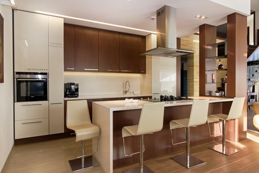 Elegant kitchen interior with wooden cabinets and modern appliances.