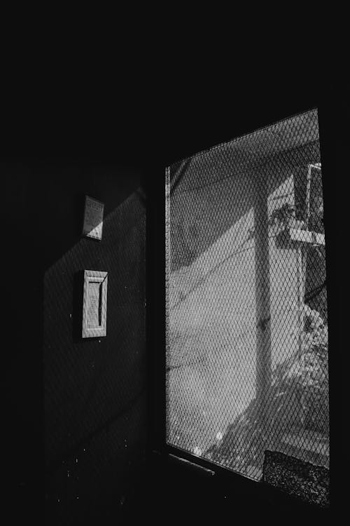 Monochrome Photo of Screen Door