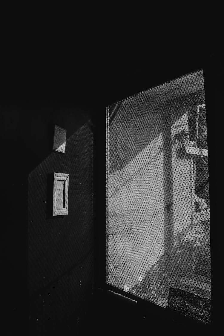 Monochrome Photo Of Screen Door