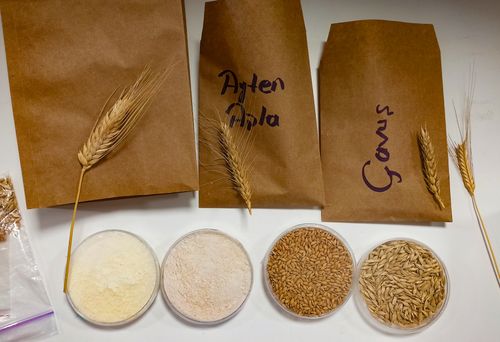 Free Brown bags and containers displaying different types of wheat and grains. Stock Photo
