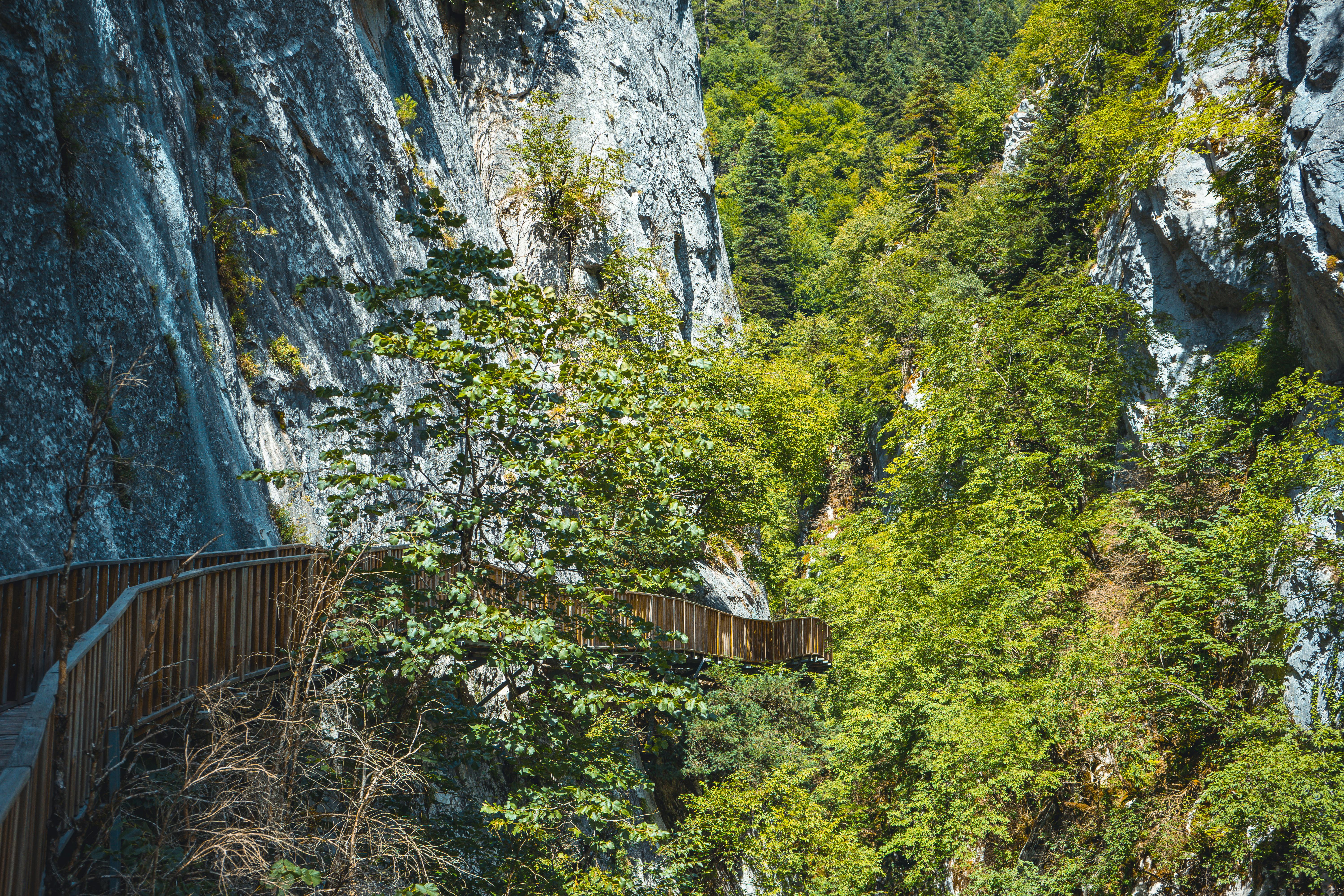 hiking trails, turkish nature, outdoor turkey - Detail