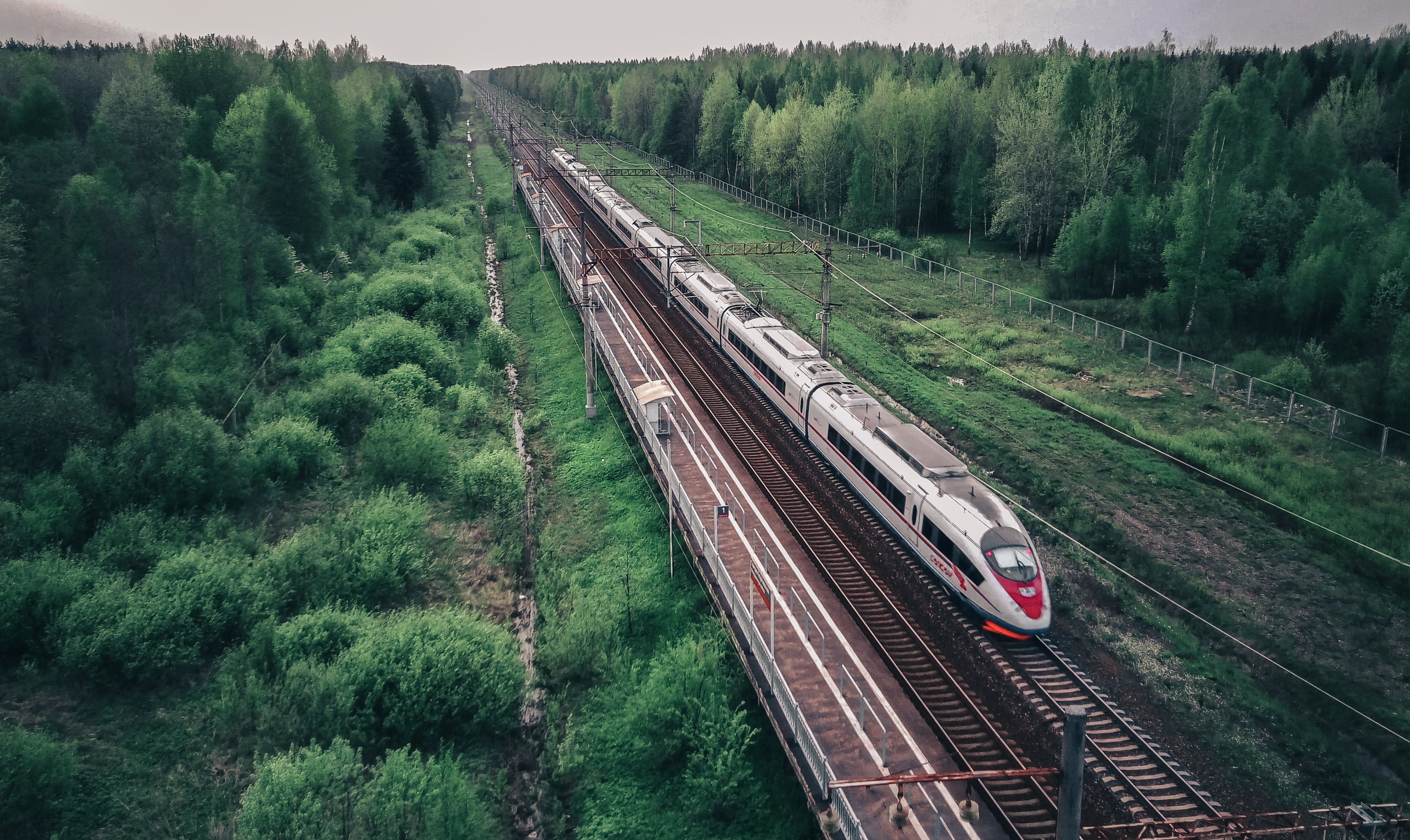 I worked remotely on a cross-country Amtrak train. The views were unbeatable, but I wish I'd known 3 things. — Photo by Aleks