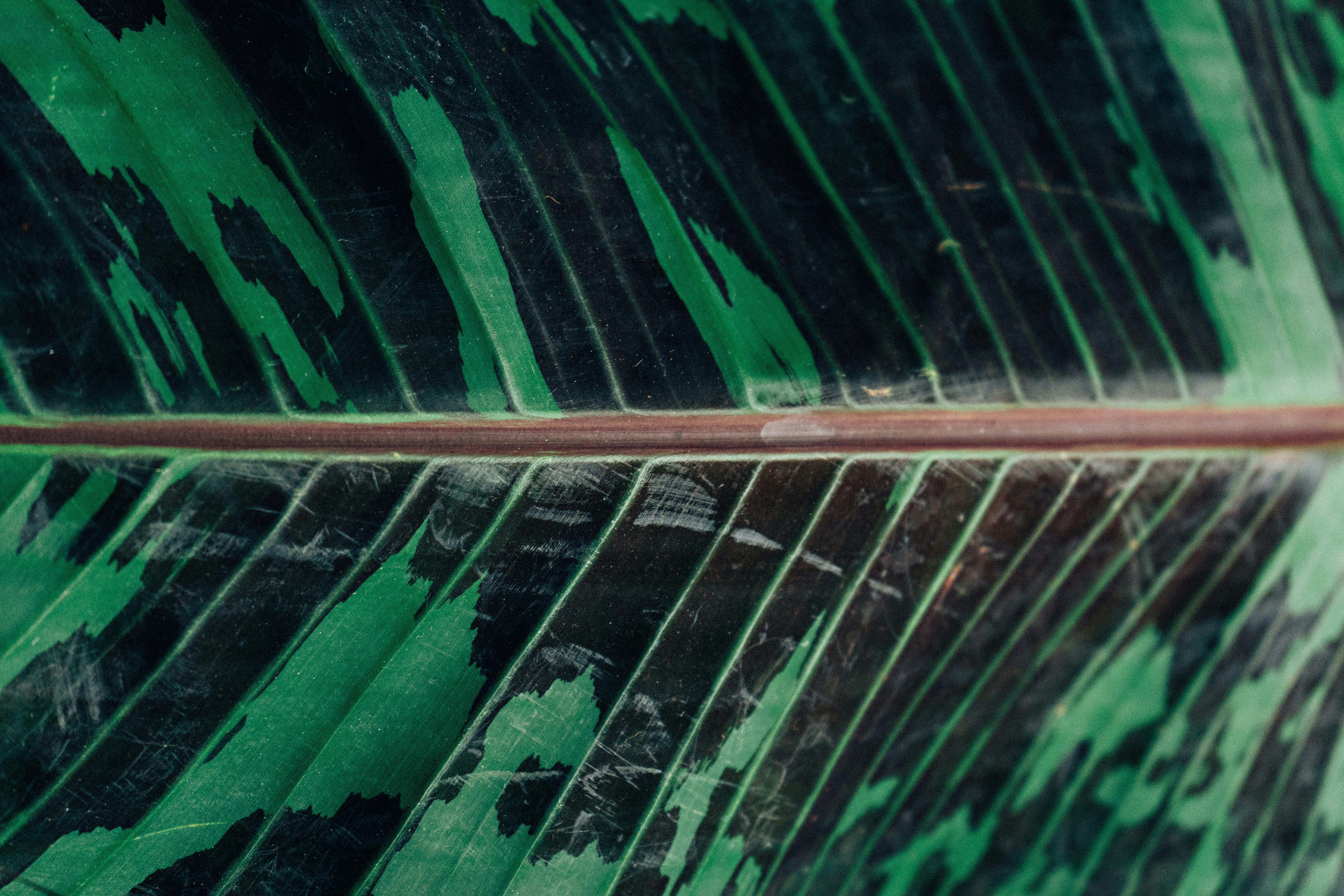 亚洲传统婚礼服饰的夫妇