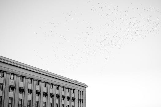 Black and white photo of a Buenos Aires building with a flock of birds in flight above.