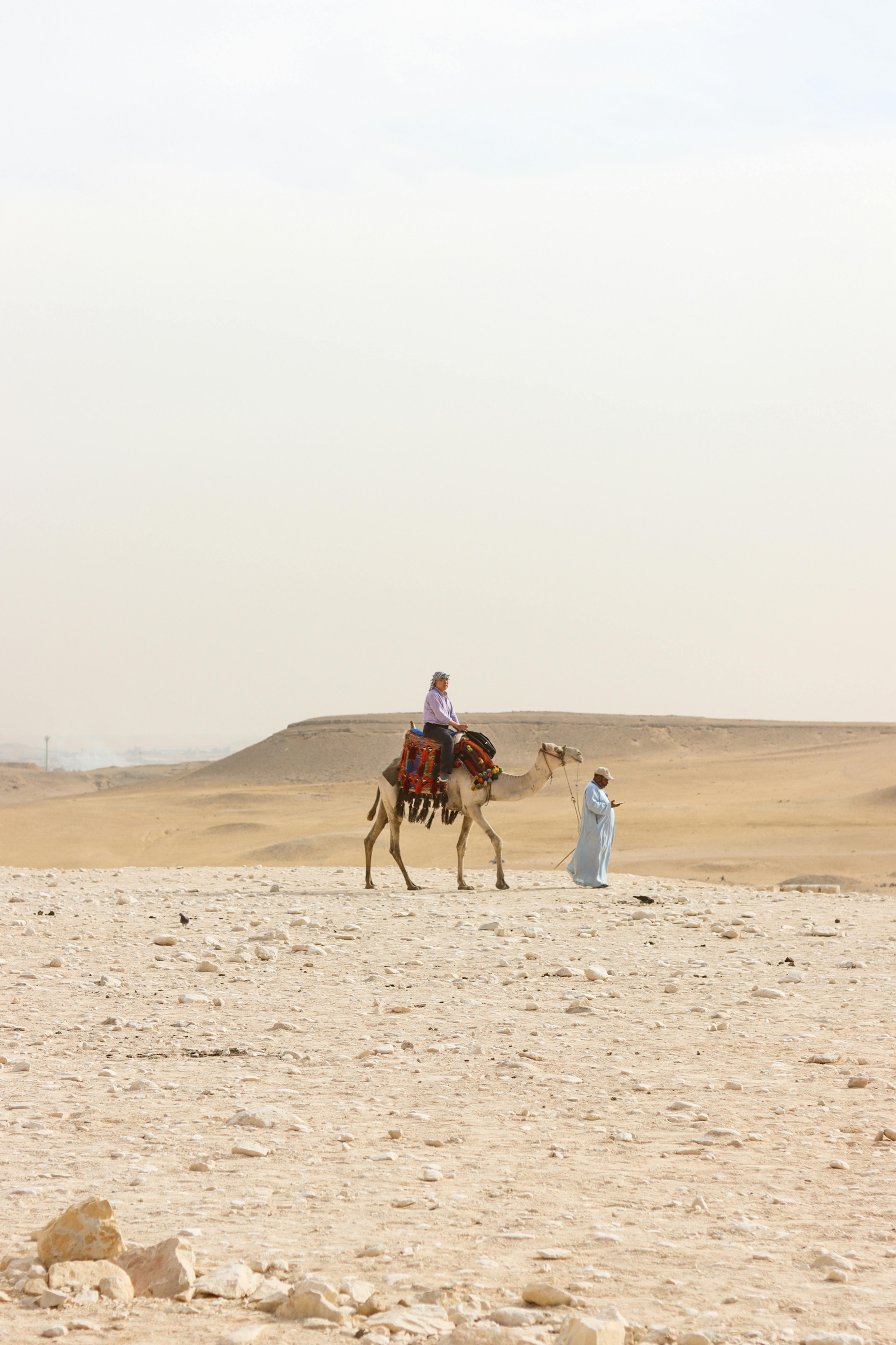 Camel ride in the vast Egyptian desert, showcasing traditional Egyptian culture and landscape.